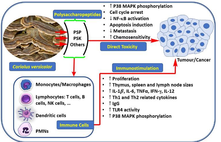 20210119134259dd015194bcb1400cb2cf34cb8f08a1e1-4 20210119134259dd015194bcb1400cb2cf34cb8f08a1e1-4