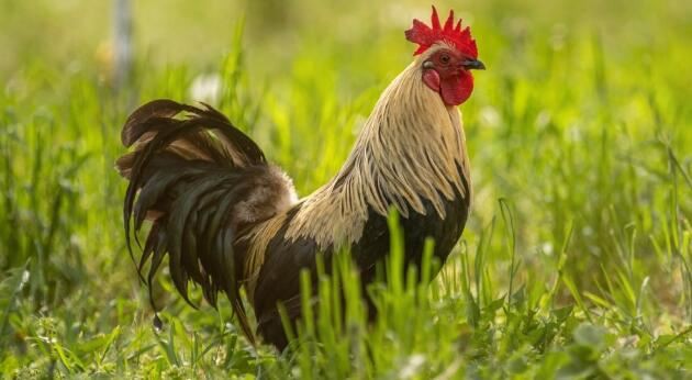 202108111351283992aa9e661e470caa4672b0c0399ab2-22 202108111351283992aa9e661e470caa4672b0c0399ab2-22