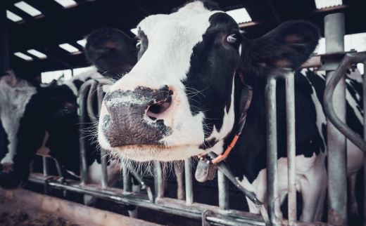 20220118112145cfb0d6ff3a2c4a63884a41c9402189fd-7 20220118112145cfb0d6ff3a2c4a63884a41c9402189fd-7