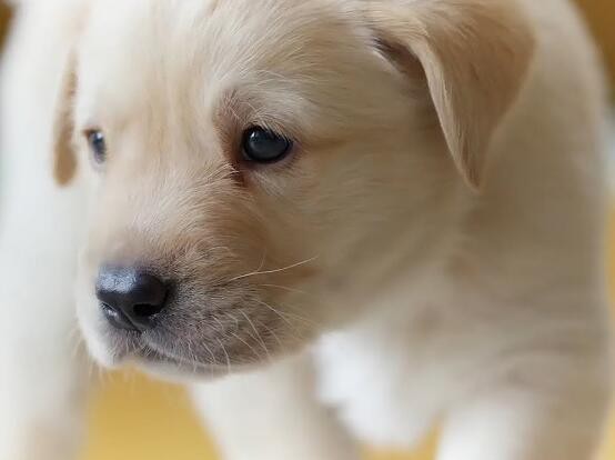 2022030314021131829f69bda2454ea9eca4f3eb723223-20 2022030314021131829f69bda2454ea9eca4f3eb723223-20