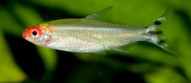 202203231209350df9b6fdff7347a5914d877c0fd16f5a-2 202203231209350df9b6fdff7347a5914d877c0fd16f5a-2