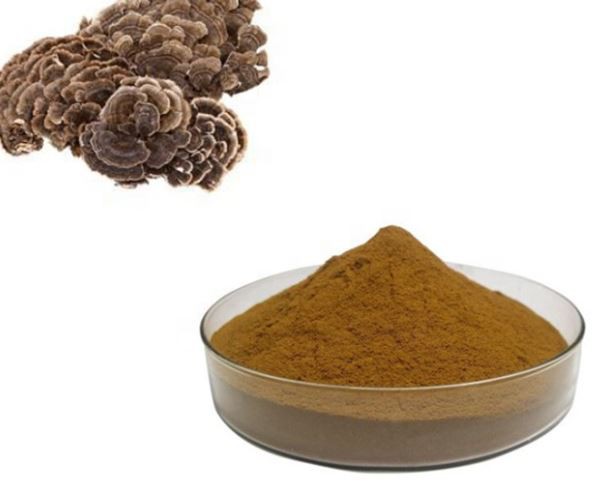 20220419120259c5c3f2f060e145eb8ea36f502208605e 20220419120259c5c3f2f060e145eb8ea36f502208605e