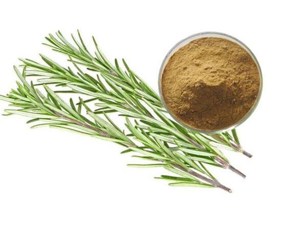 202206211408282840328b972d46f5ae2c9cc833ec0d2a-1 202206211408282840328b972d46f5ae2c9cc833ec0d2a-1