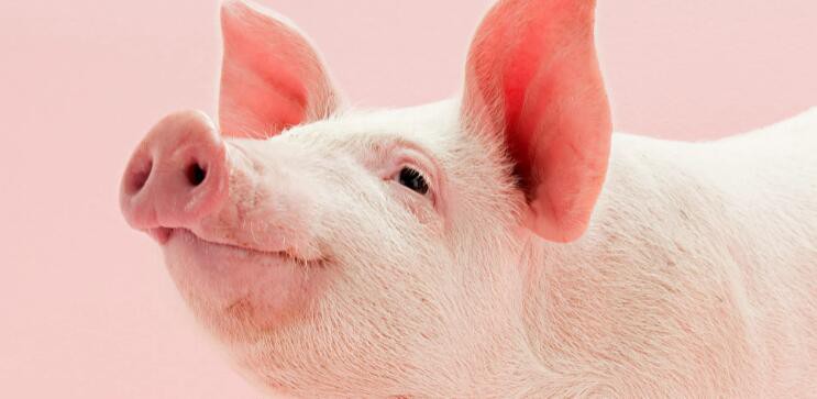 2022062413411311630ec2f1c543fdb36a1496cfeb1686-1 2022062413411311630ec2f1c543fdb36a1496cfeb1686-1