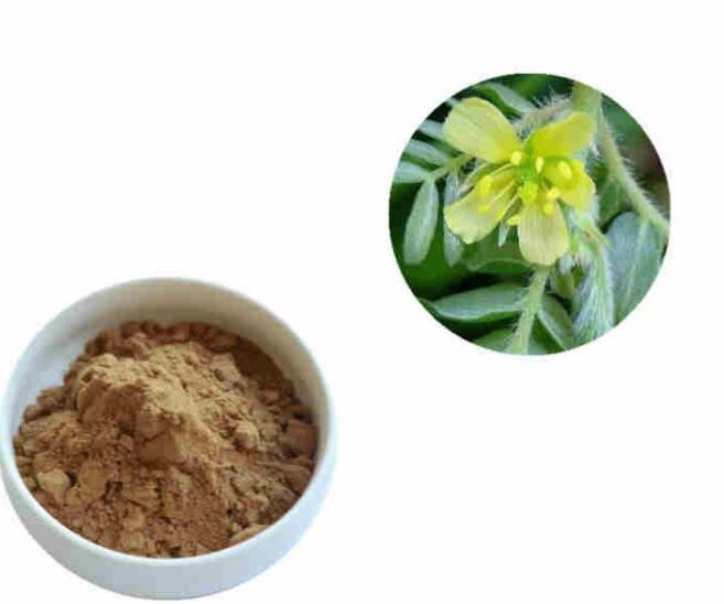 2022072613230059893fc3dddf45c2833b4303a804161c-8 2022072613230059893fc3dddf45c2833b4303a804161c-8