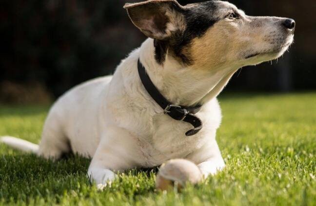 20221109144417fb4ddf348a8e442f81fb84b5be85feed-4 20221109144417fb4ddf348a8e442f81fb84b5be85feed-4