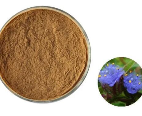 202303091604550637216bb2a74e5585363ec378ab0aac 202303091604550637216bb2a74e5585363ec378ab0aac