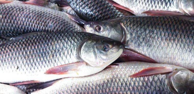 20230412151208e9355ff0695942c8b2a723af6616891f