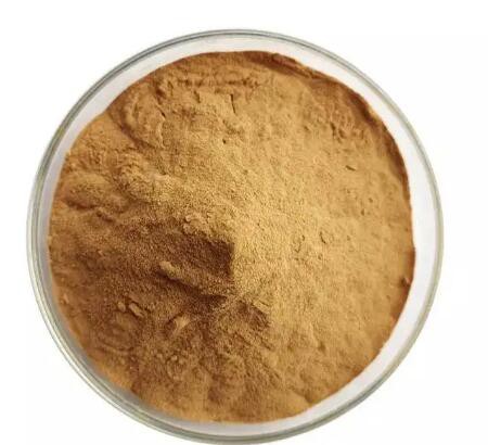 202304141544143444d557086a4599a02f3f348e48c0bf 202304141544143444d557086a4599a02f3f348e48c0bf