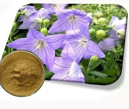 20230506135329d75760d9454748648b85d6442fdb250b