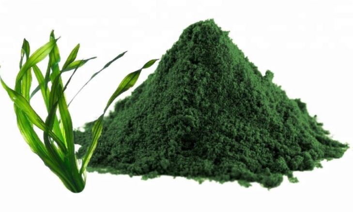 Spirulina Powder19053627965