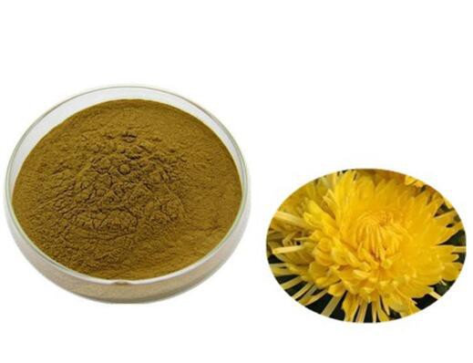 Chrysanthemum Flower Extractf3b1beb3 E744 4080 Bb7d C821e8572afd