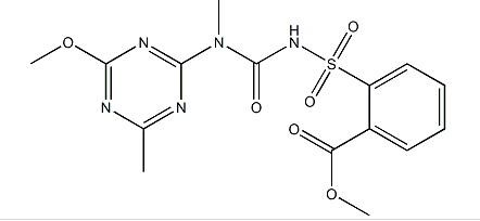 Tribenuron Methyl59244040017