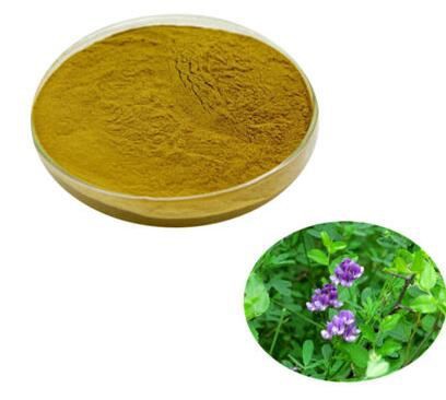 Alfalfa Extract Powder49163784160