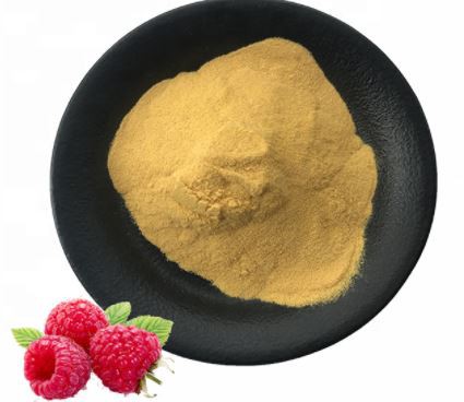 Red Raspberry Leaf Powder56414583106