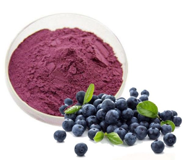 Blueberry Juice Powder57351219184