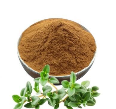 Thyme Powder59594444616