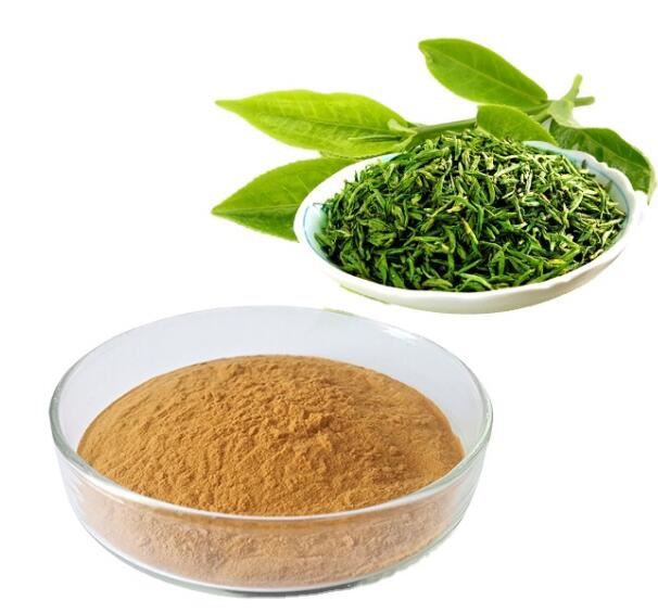 Green Tea Extract Polyphenols38573341222