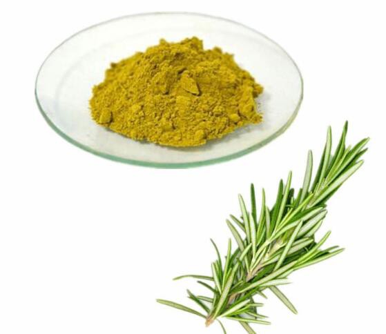 Rosemary Leaf Extract39475906235