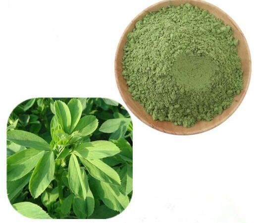 Alfalfa Juice Powder29441608921