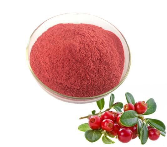 Cranberry Powder Bulk21081506395