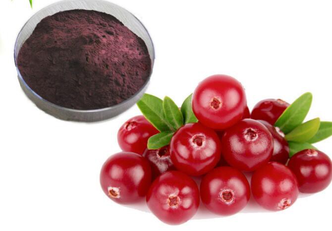 Organic Cranberry Extract54104706615