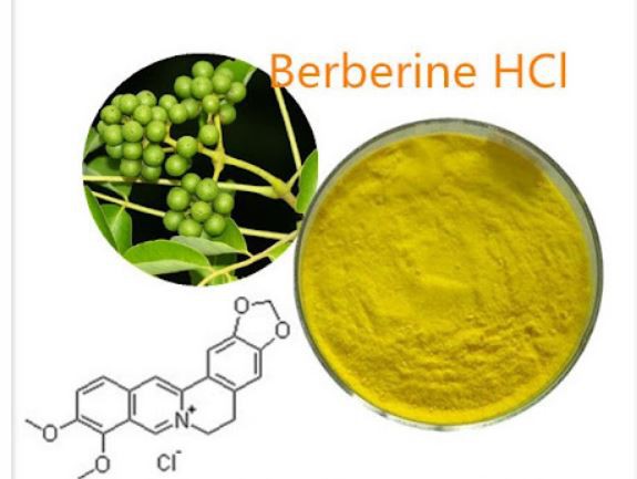 Berberine07297775012