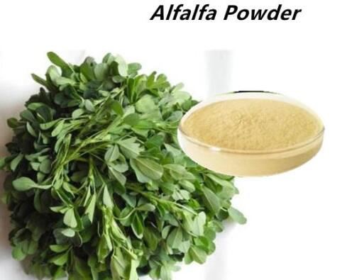 Alfalfa Powder Bulk16446480794