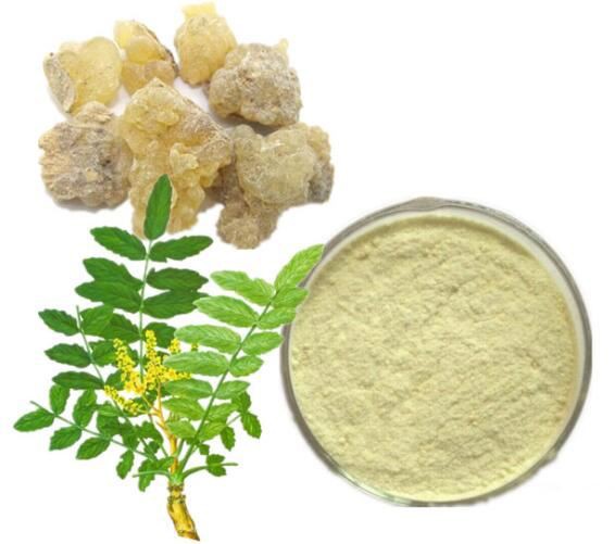 Boswellia Standardized Extract48158603426