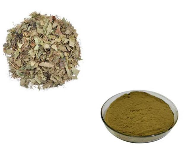 High Quality Epimedium Extract59245650398