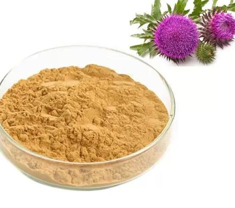 Organic Milk Thistle Powder08203438746