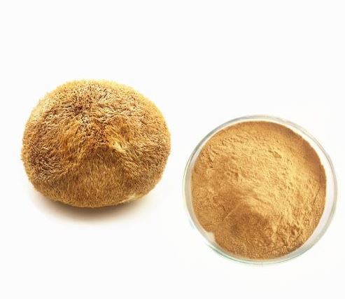 Lion S Mane Extract33076591643