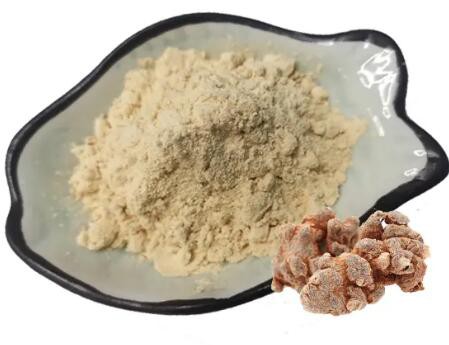 Notoginseng Powder386fb3bc 192c 4e54 8e0a Ed3a21923474