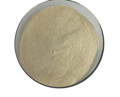 Cellulase Enzyme Powder46121632592