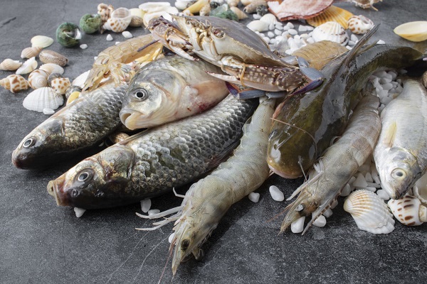 Usos del polvo de clorella