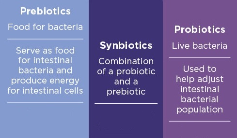 Probióticos y prebióticos