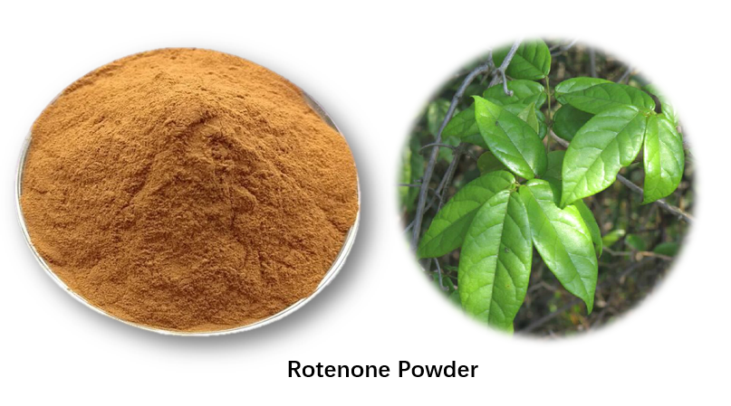 Polvo de rotenona
