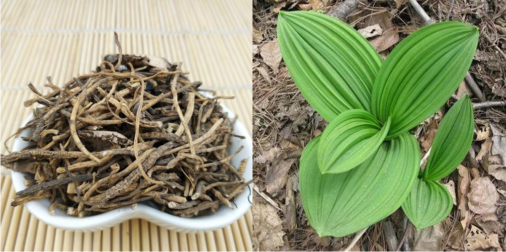 Biopesticida Veratrina