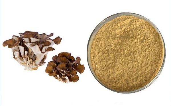 Polvo de hongo Maitake a granel