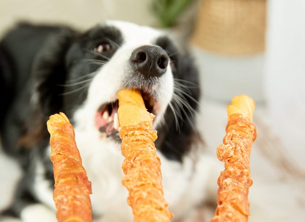 Barritas de comida para mascotas