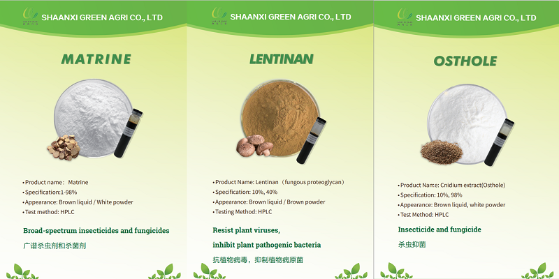 Nos vemos en GROWTECH ANTALYA