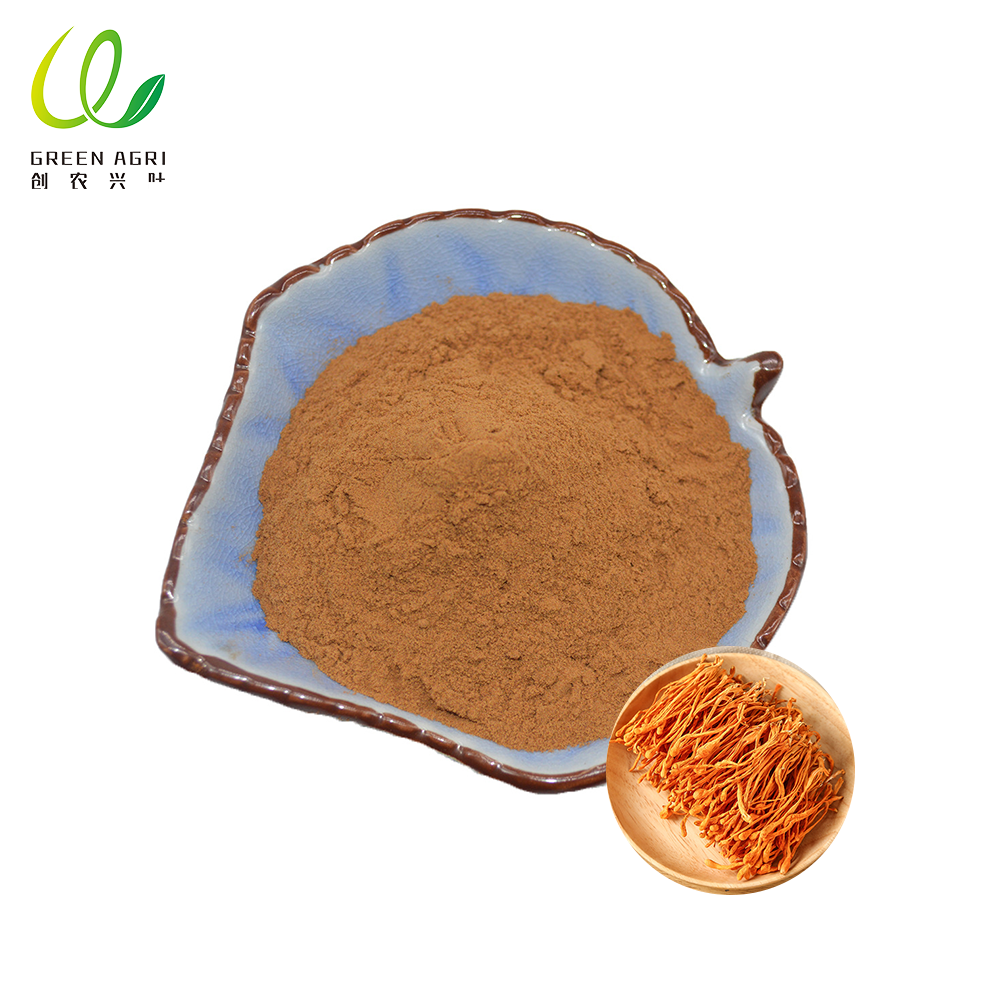 Fabricante de polvo de Cordyceps militaris