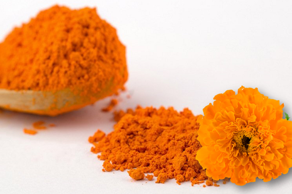 Luteína y zeaxantina: carotenoides naturales para la alimentación animal