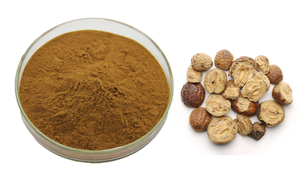 Polvo de toosendanina a granel