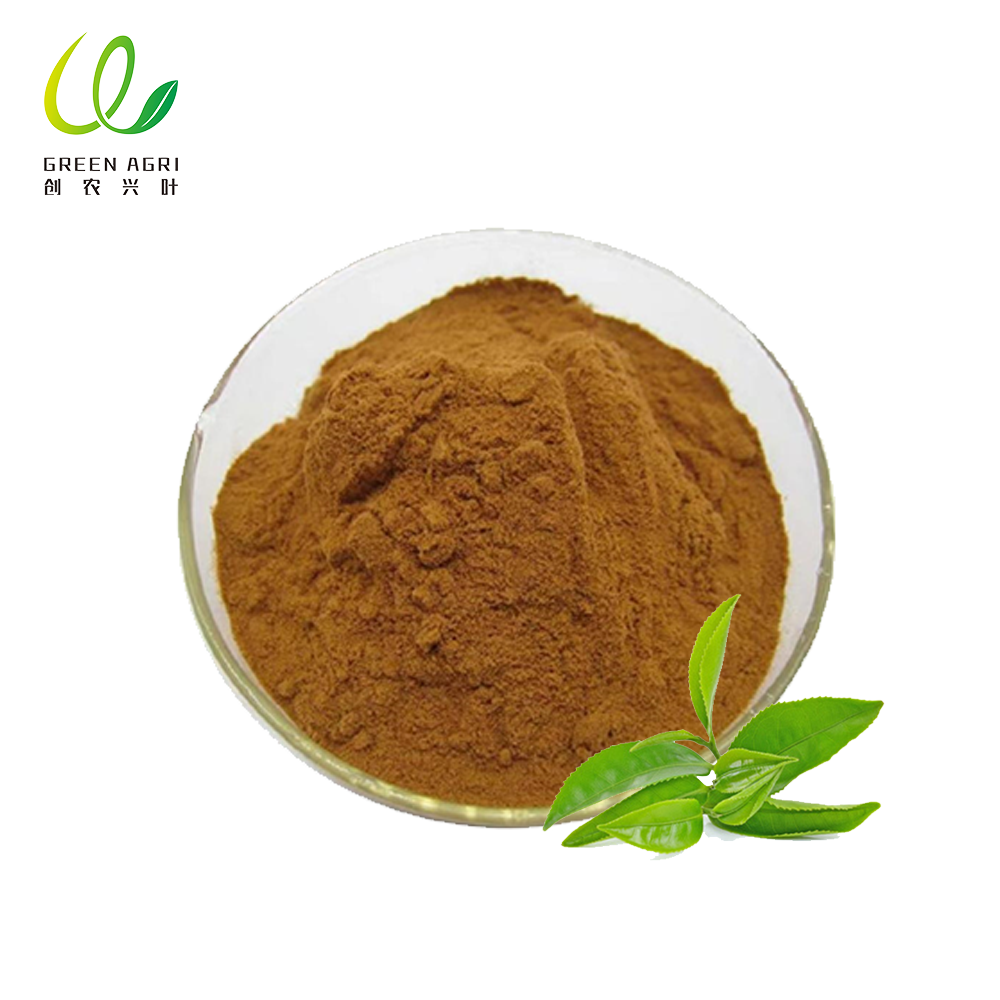 Extracto de té verde descafeinado en polvo