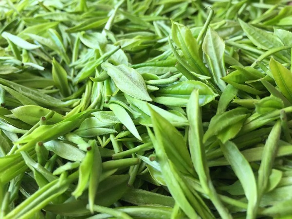 té verde