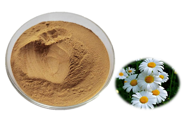 Polvo de flor de piretro