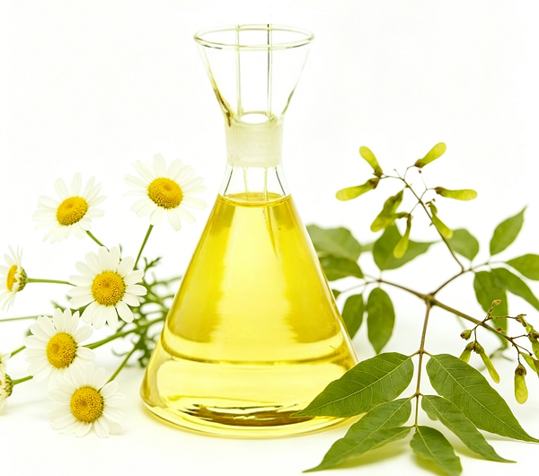 Piretrinas o aceite de neem: ¿La mejor solución natural para el control de plagas?