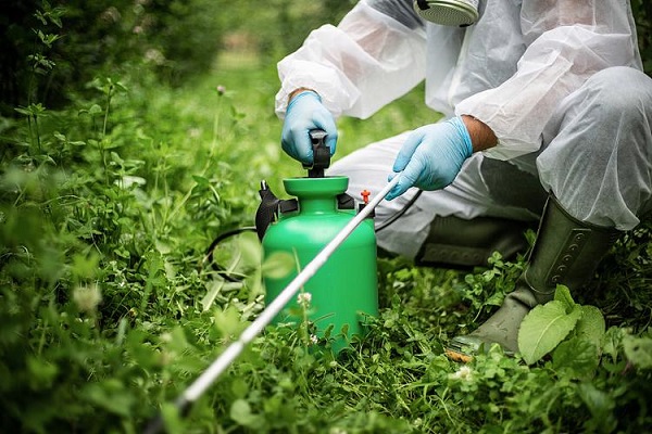 Material técnico de Toosendanina al por mayor para fabricantes de pesticidas botánicos