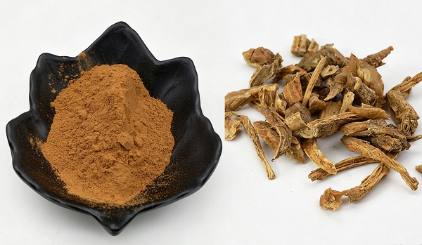 Proveedor de extracto de Stemona Japonica